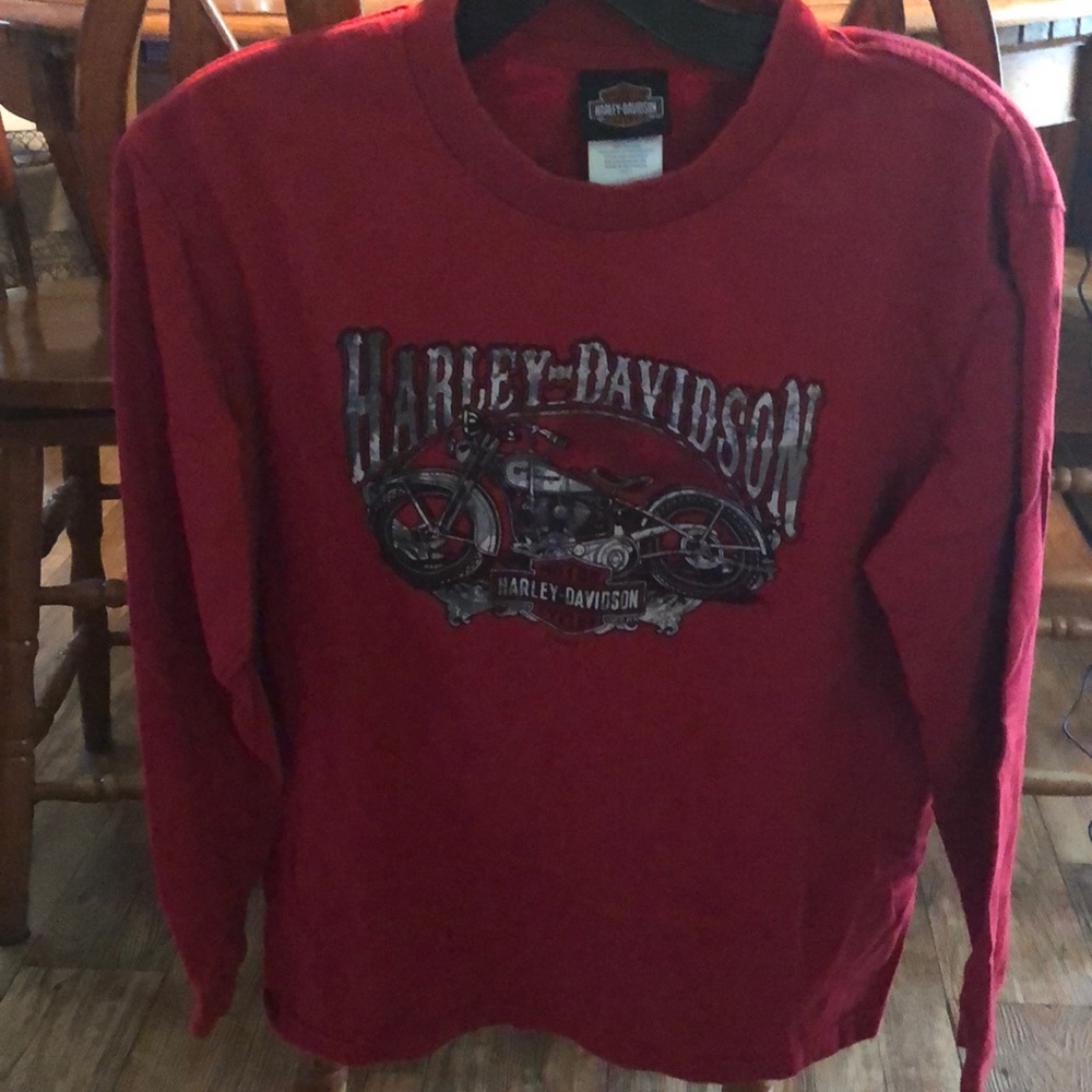 Harley Davidson tee shirt, fits like a small
